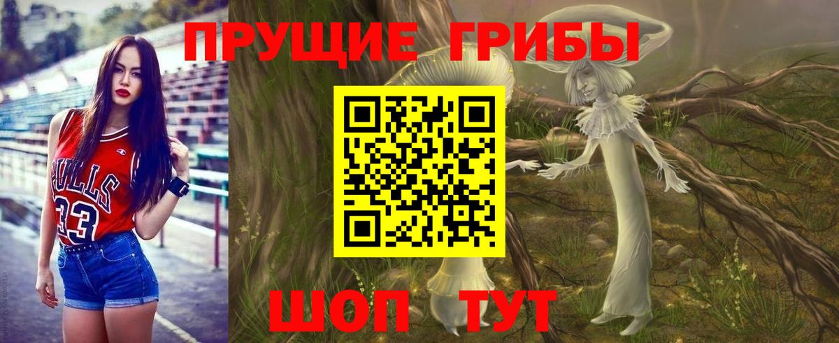 Чернушка  Псилоцибиновые грибы GOLDEN TEACHER  закладки  Вход с VPN 