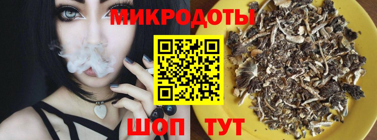 Галлюциногенные грибы Psilocybe Чернушка