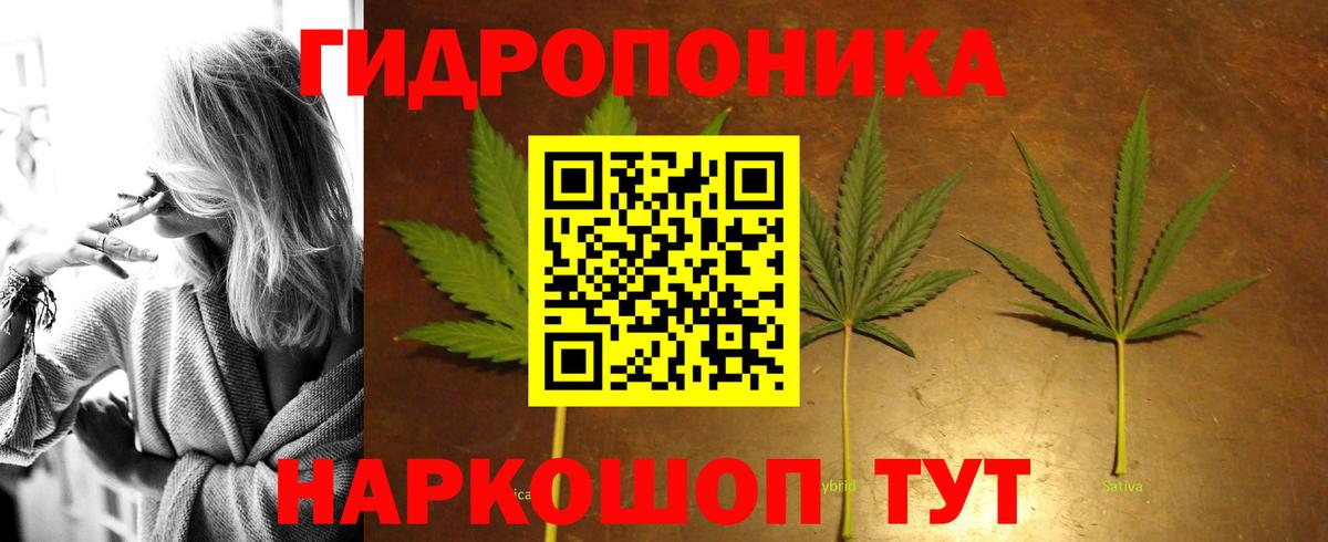 Канабис MAZAR Чернушка